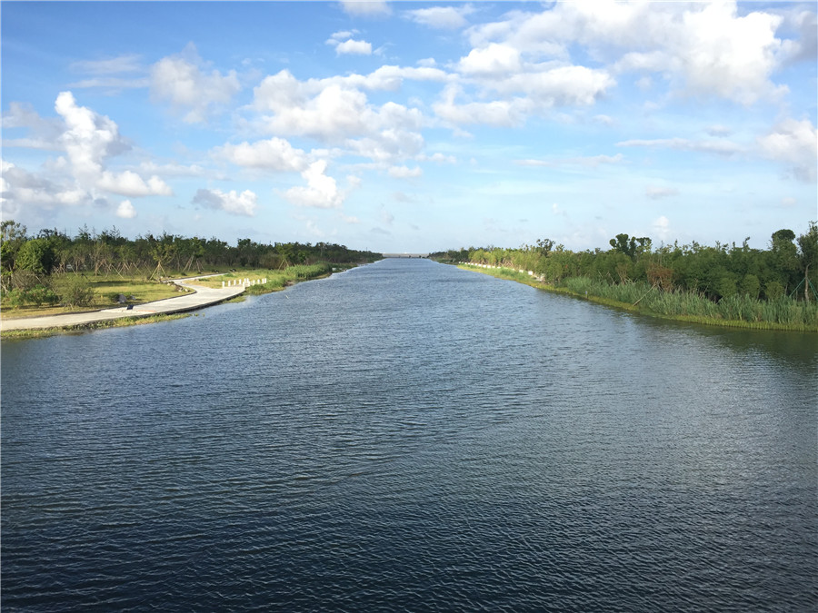 長浦河改造及沿岸綠化景觀