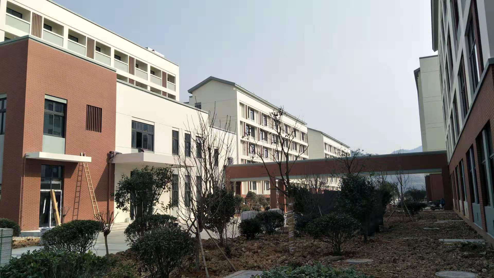 圖片關(guān)鍵詞